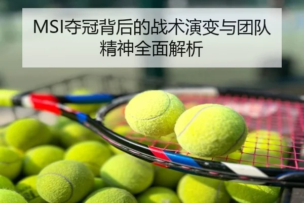 MSI夺冠背后的战术演变与团队精神全面解析